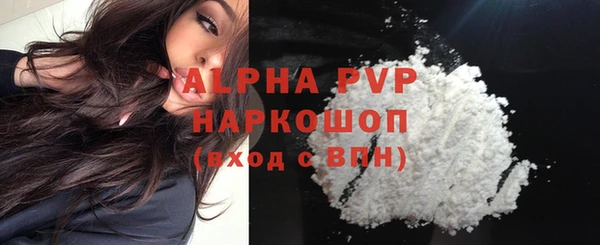 стаф Абинск
