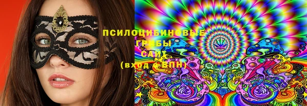 ешки Зеленодольск