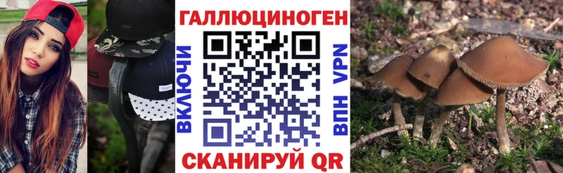 купить сайты Среднеколымск Псилоцибиновые грибы Psilocybe